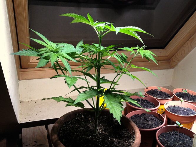 035_TopDay1_01