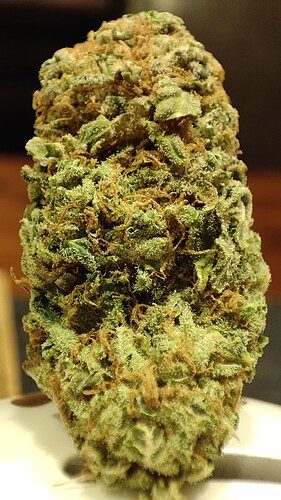 Growreport Bild 8