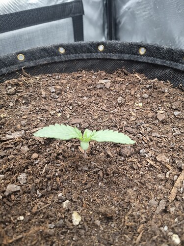 Growreport Bild 9