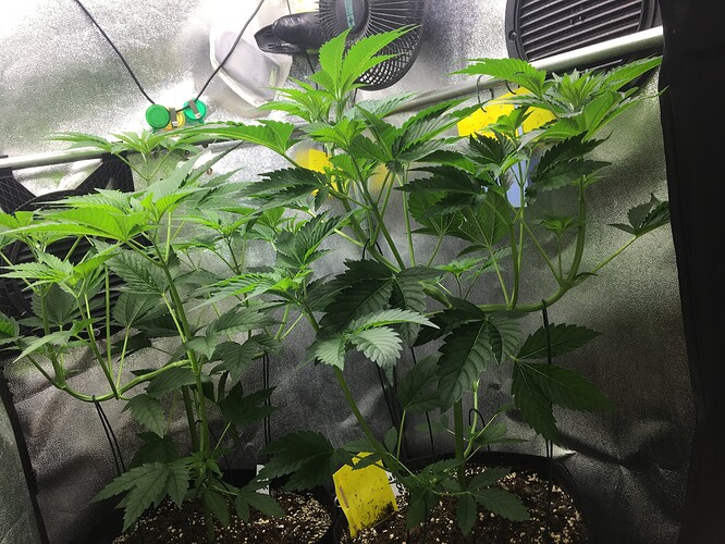 Growreport Bild 10