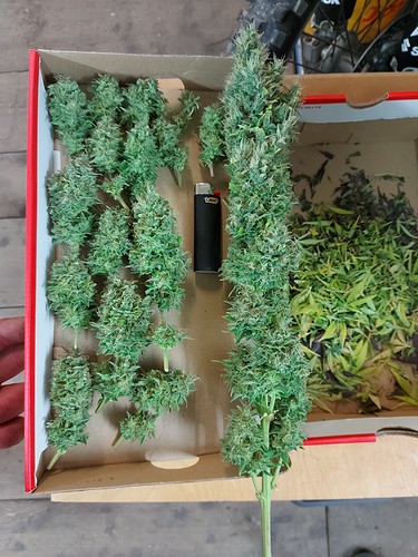 Growreport Bild 22