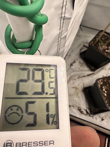 Growreport Bild 2