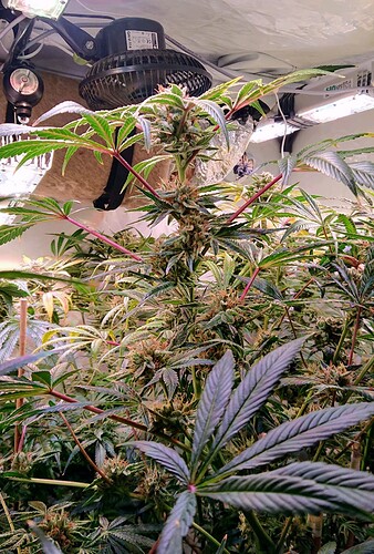 Growreport Bild 1