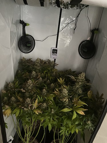 Growreport Bild 9