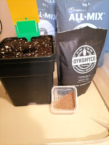 Growreport Bild 38