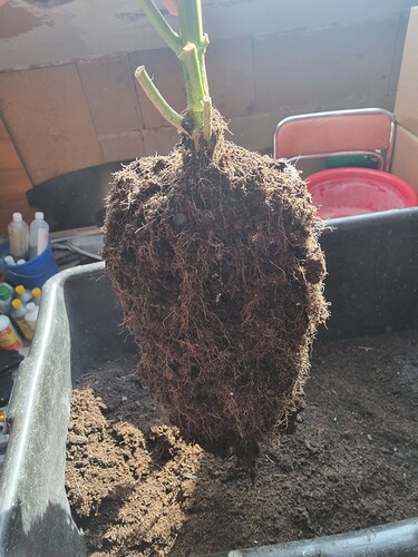 Growreport Bild 2