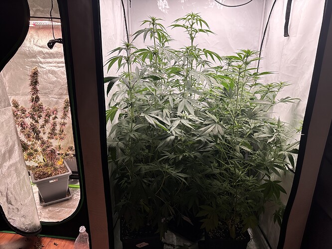 Growreport Bild 15