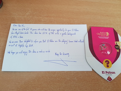 20190809_162445%5B1%5D