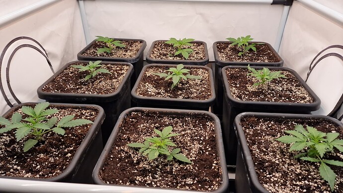 threema-20220728-214256299