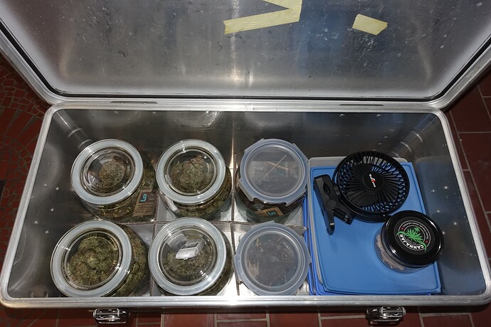 Growreport Bild 4