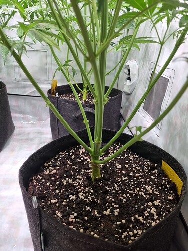 Growreport Bild 22