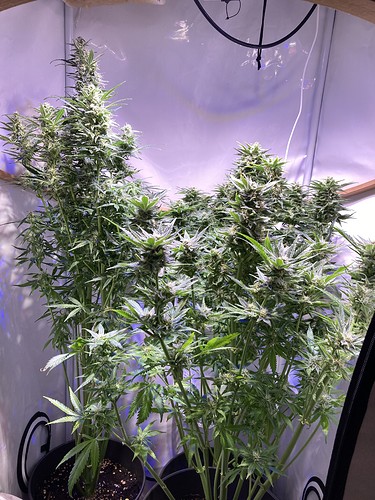 Growreport Bild 11
