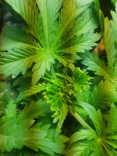 Growreport Bild 23