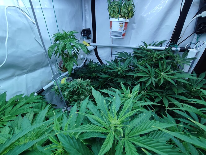 Growreport Bild 20