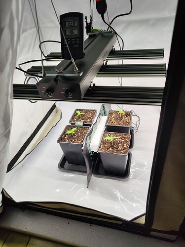 Growreport Bild 3