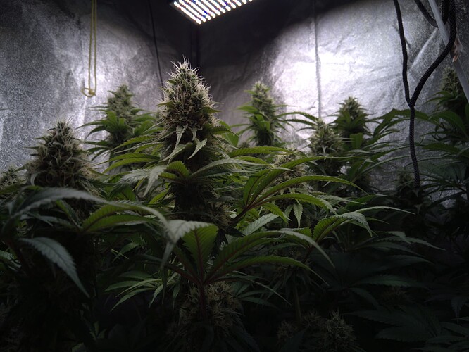 Growreport Bild 12