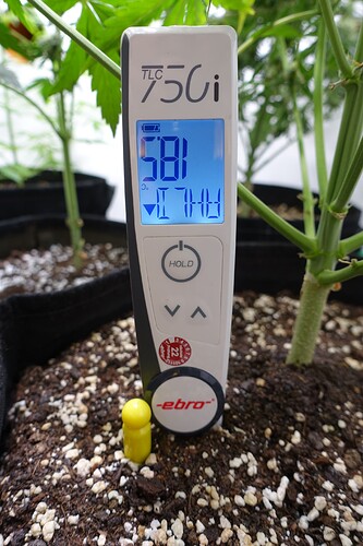 Growreport Bild 18