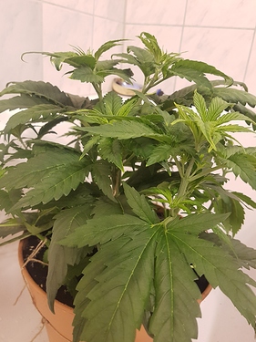 Growreport Bild 14