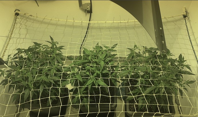 Growreport Bild 21