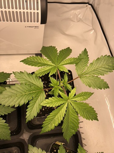 Growreport Bild 13
