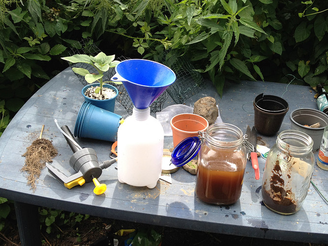 Growreport Bild 12