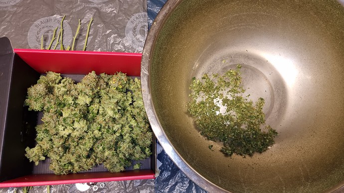 Growreport Bild 18
