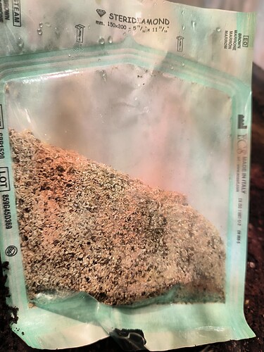 Growreport Bild 2