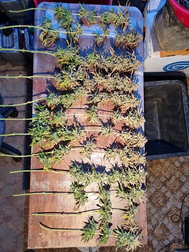 Growreport Bild 24
