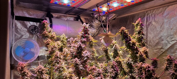 Growreport Bild 57
