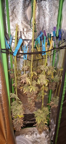 Growreport Bild 15
