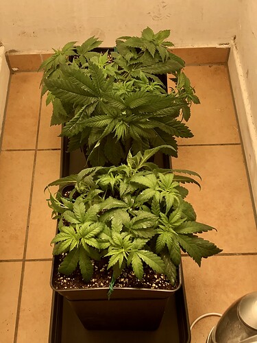 Growreport Bild 8