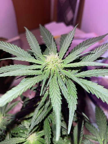 Growreport Bild 10