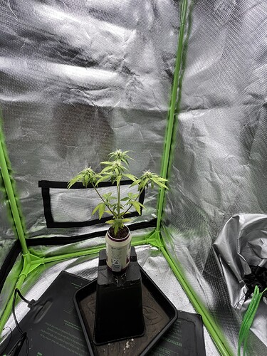 Growreport Bild 10