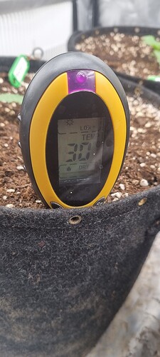 Growreport Bild 20