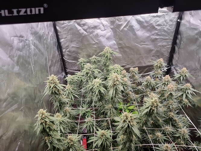 Growreport Bild 11