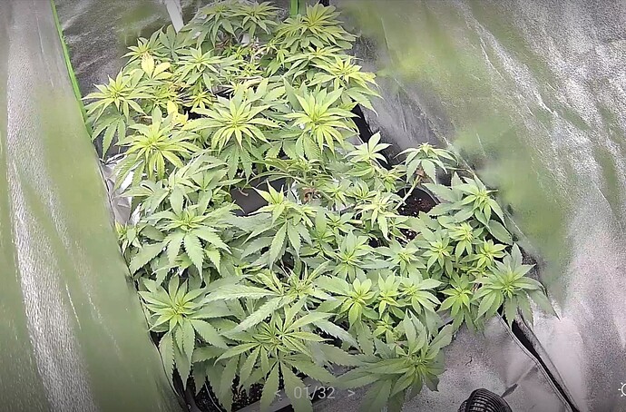 Screenshot_20230918_115417_Tapo