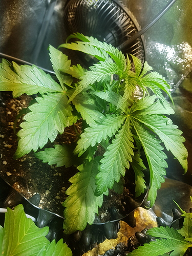 Growreport Bild 16