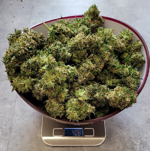 Growreport Bild 5