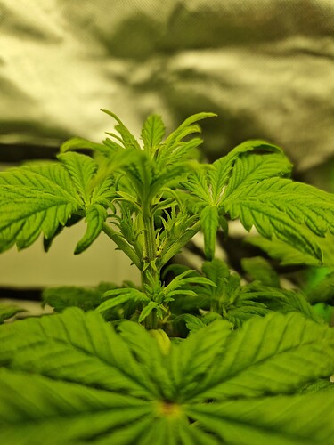 Growreport Bild 11