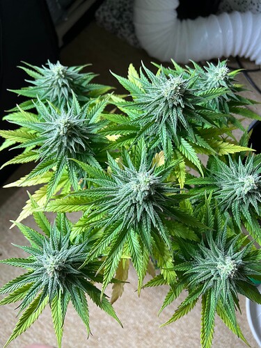 Growreport Bild 11