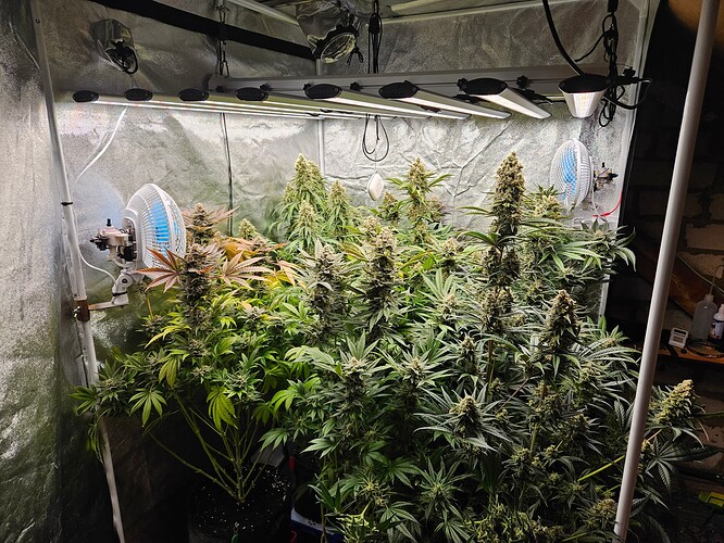 Growreport Bild 6