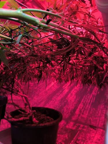 Growreport Bild 5