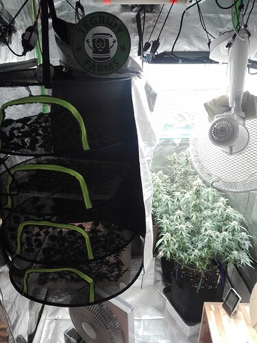 Growreport Bild 16