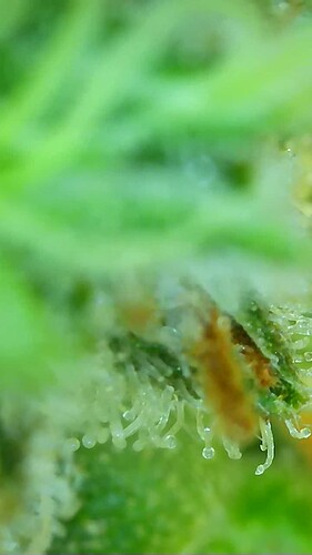 Growreport Bild 19