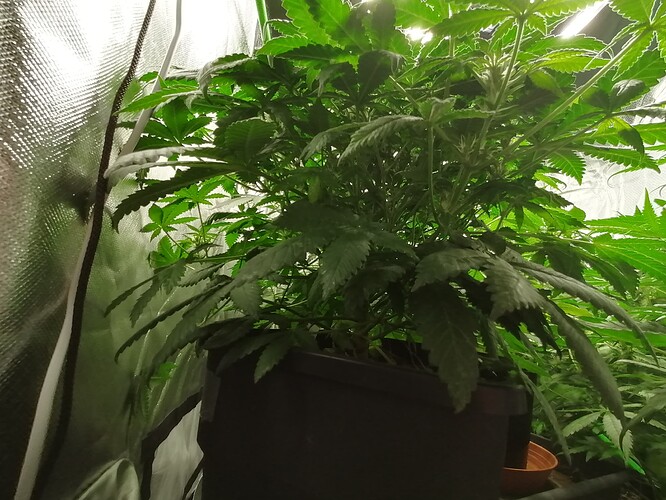 Growreport Bild 14