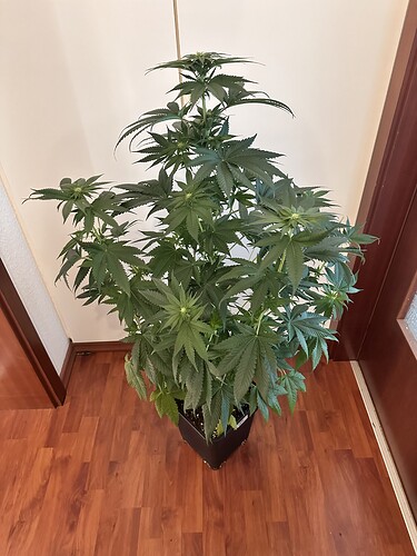 Growreport Bild 16