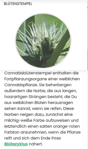 IMG_20201102_115252~01