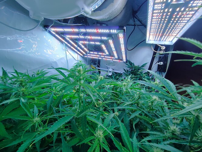 Growreport Bild 20