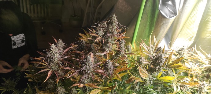 Growreport Bild 12