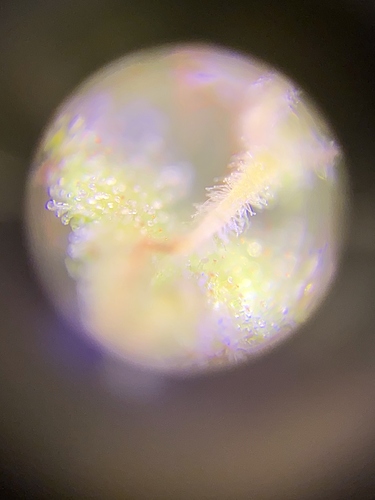 Growreport Bild 4